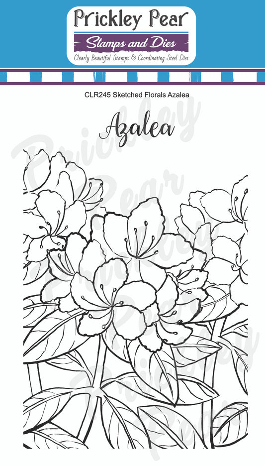 Stamps - Sketched Florals -  Azalea - CLR245
