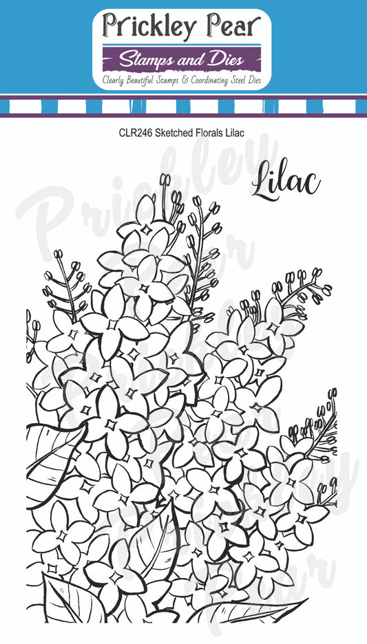 Stamps - Sketched Florals -  Lilac - CLR246