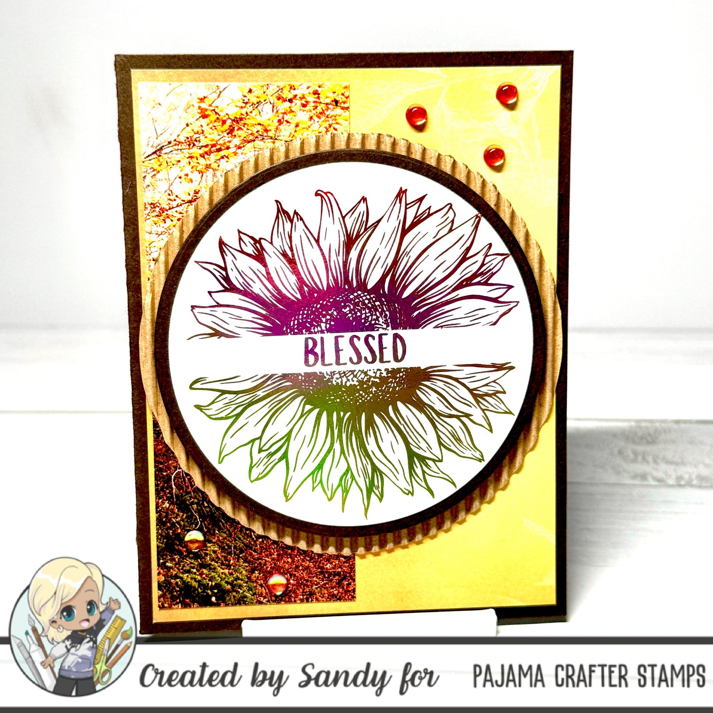 Autumn/Thanksgiving Flashcards