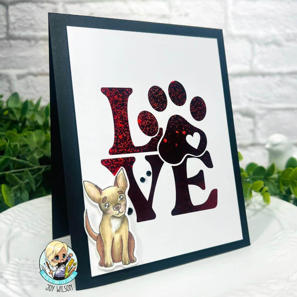 Dog & Cat Flashcards