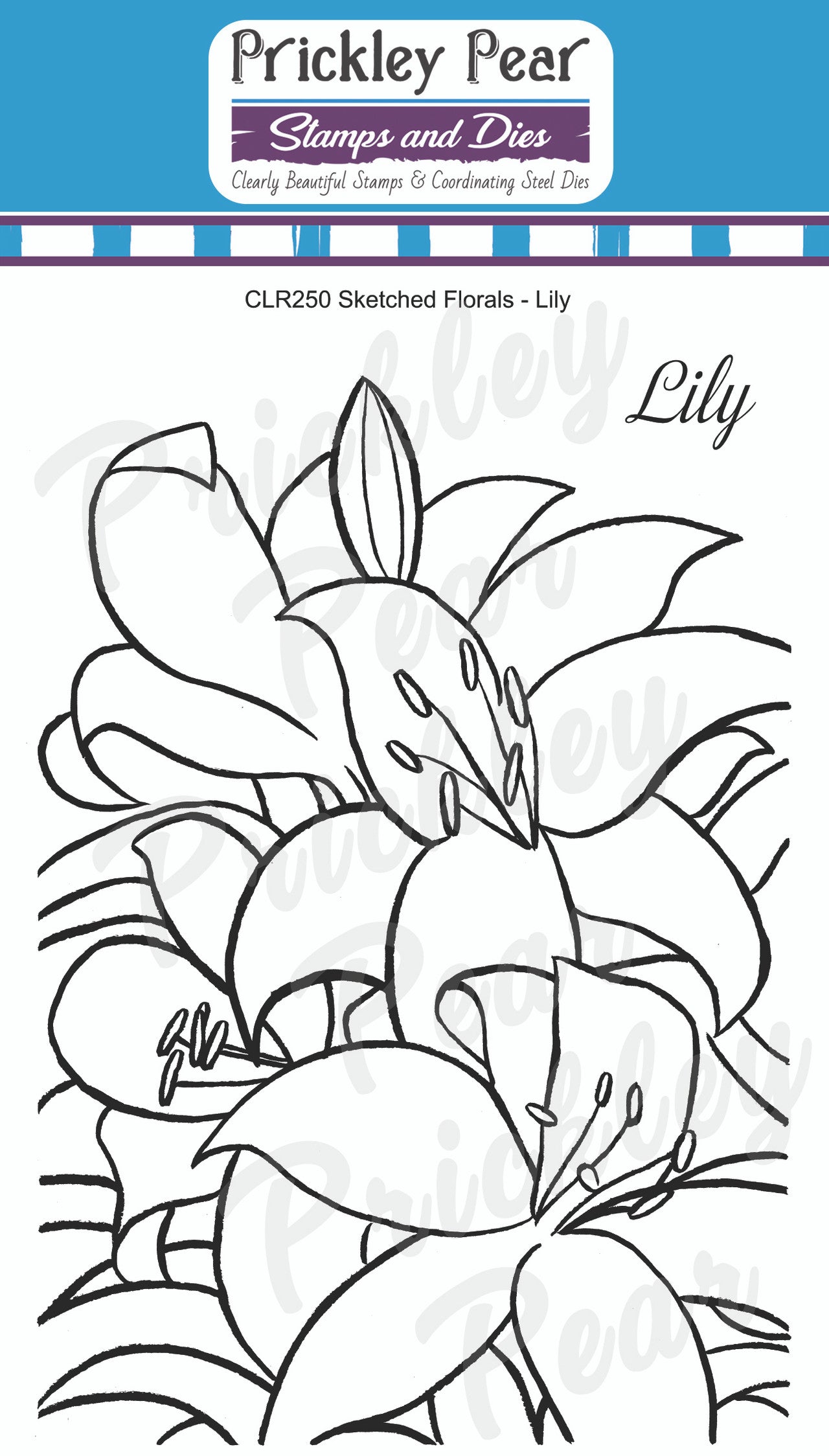 Sketched Florals -  Lily Stamps