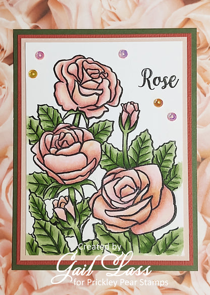Stamps - Sketched Florals - Rose - CLR255