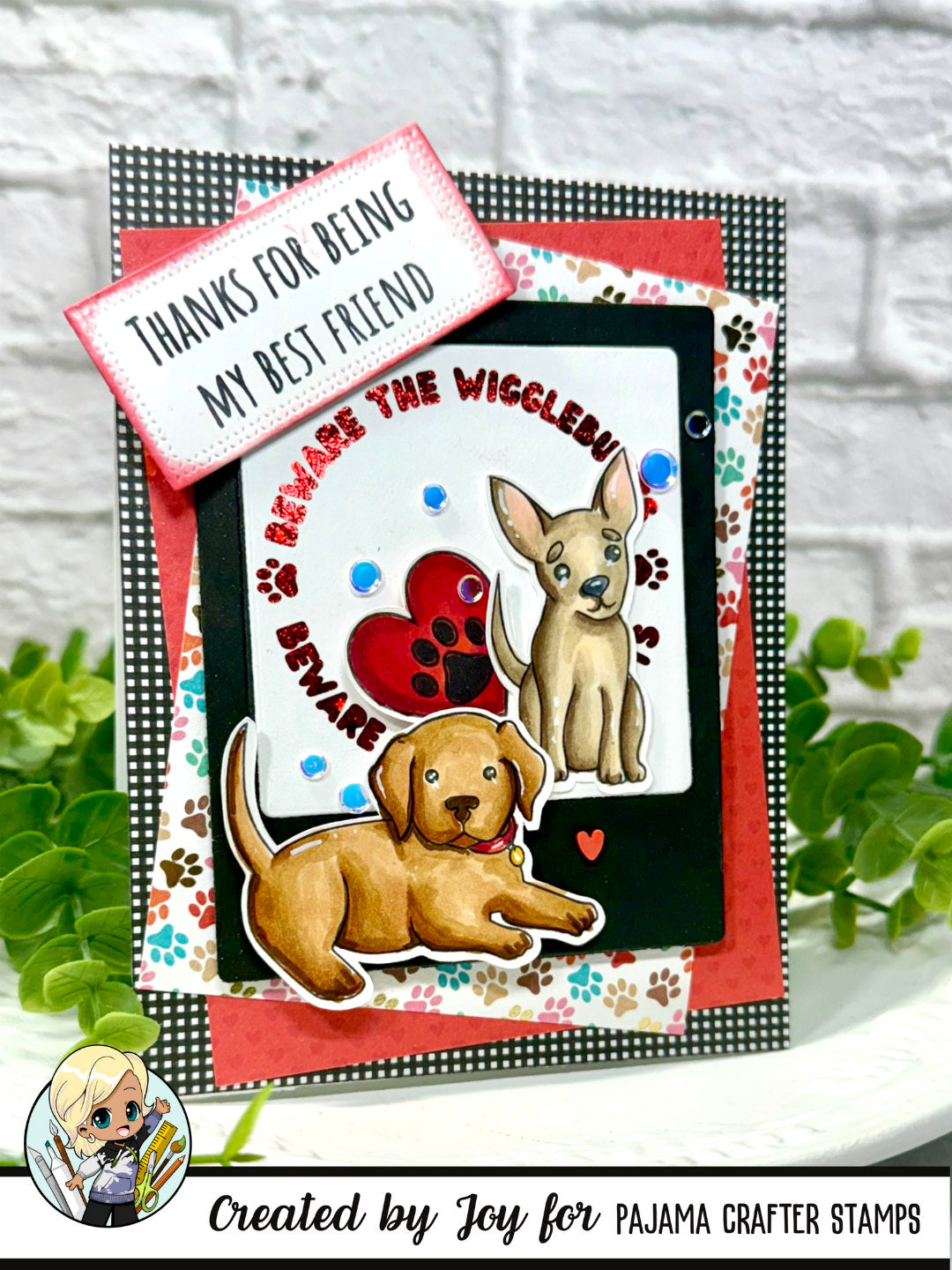 Dog & Cat Flashcards