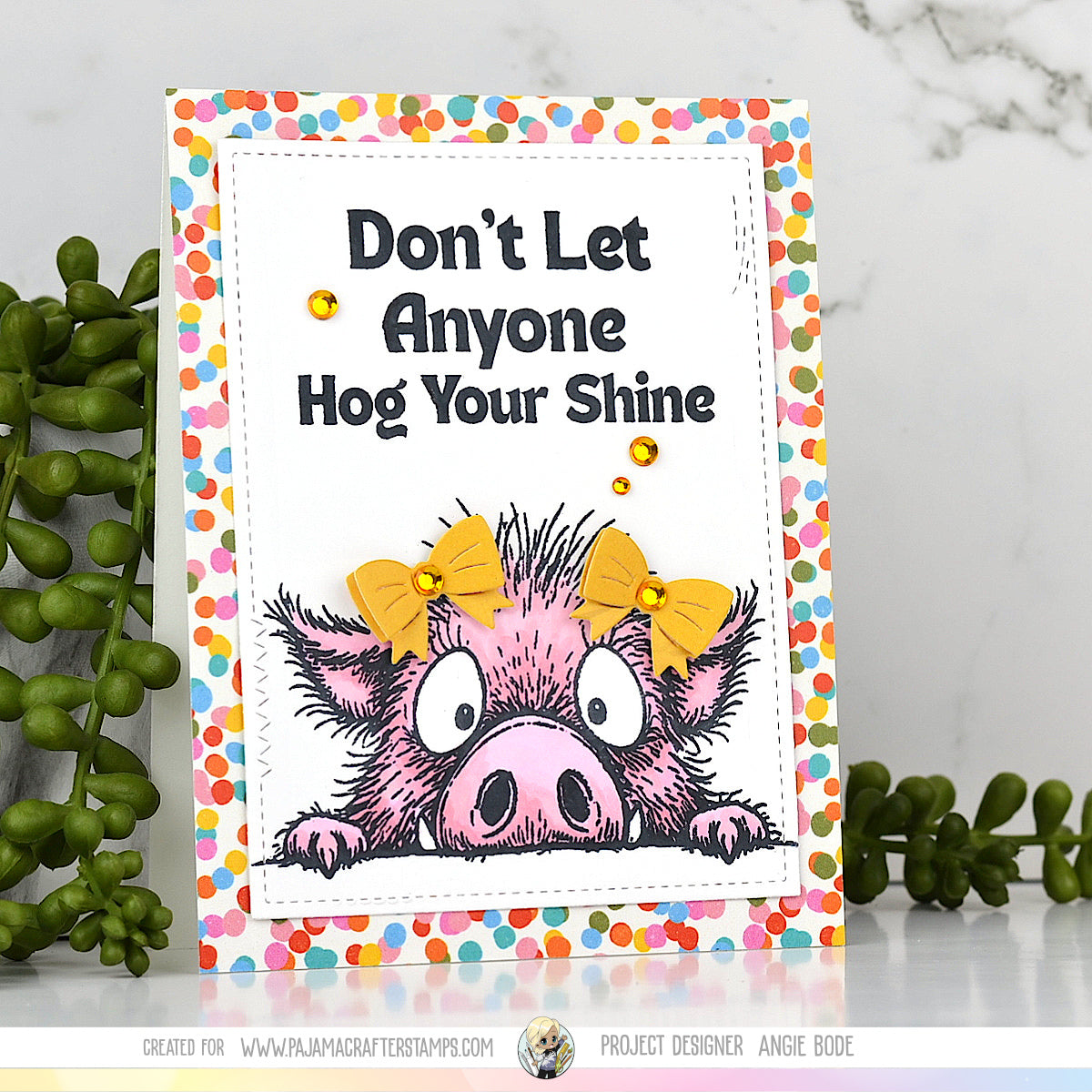 Hog Your Shine Stamps