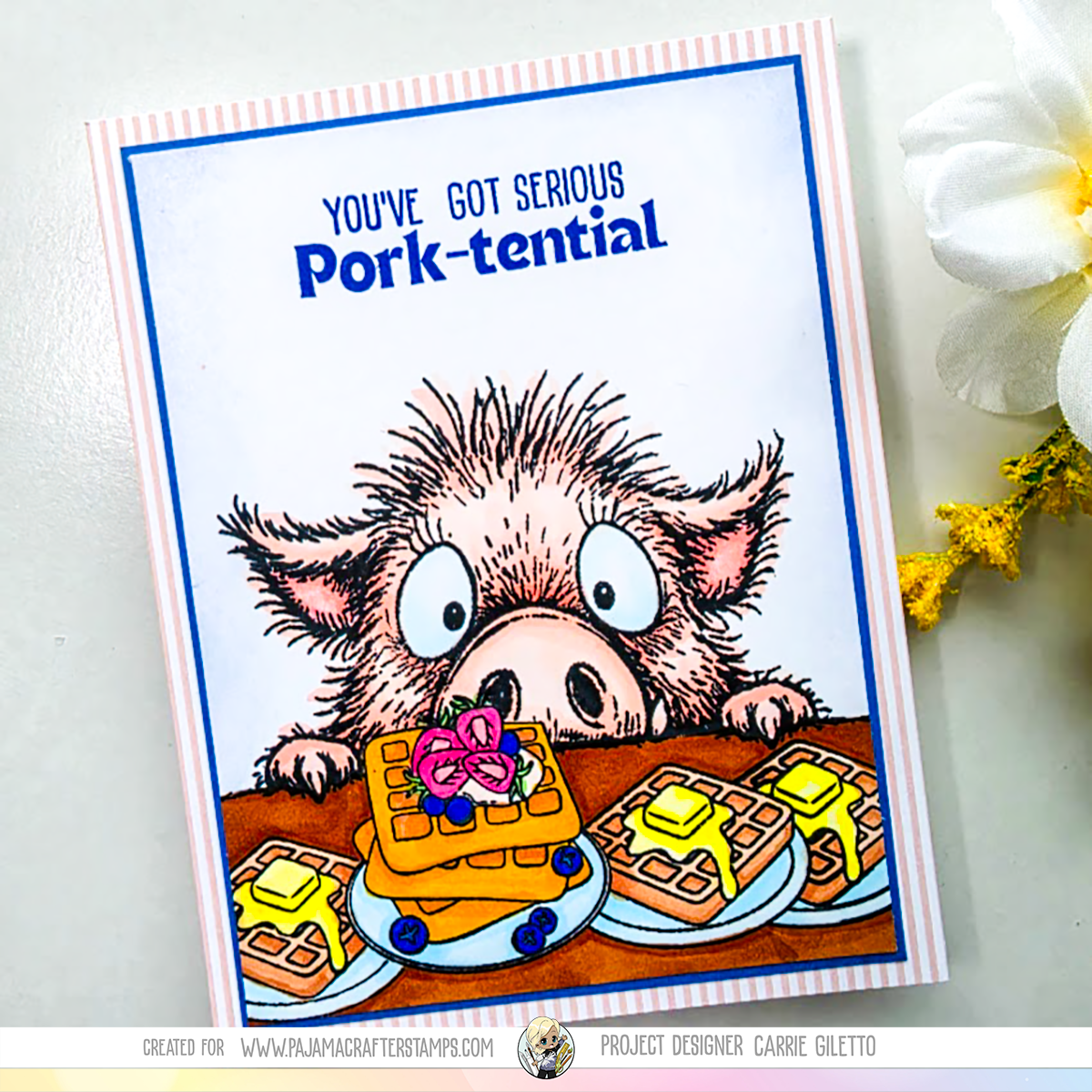 Hog Your Shine Stamps