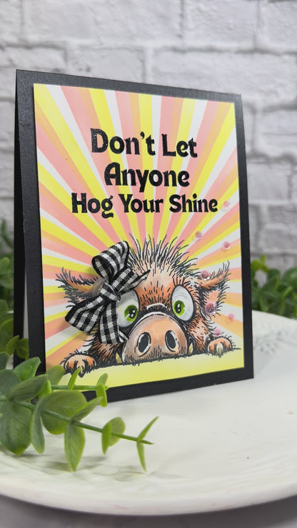 Twist 'n Slides (15 pk)